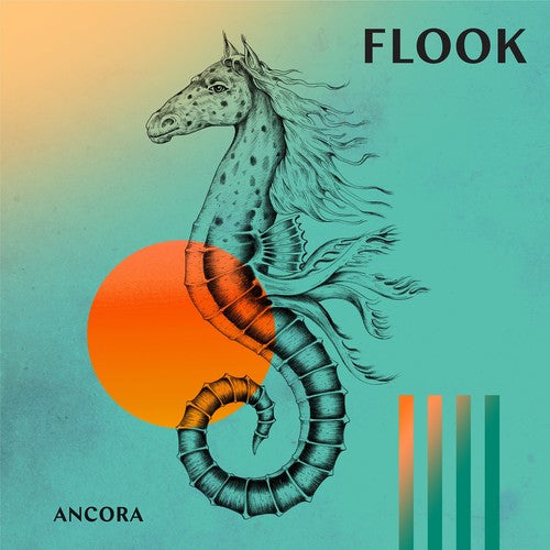 the album cover for Flook - Ancora
