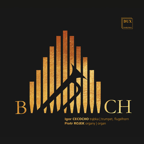 the album cover for J Bach S / Cecocho / Rojek - Transcriptions Trumpet & Organ