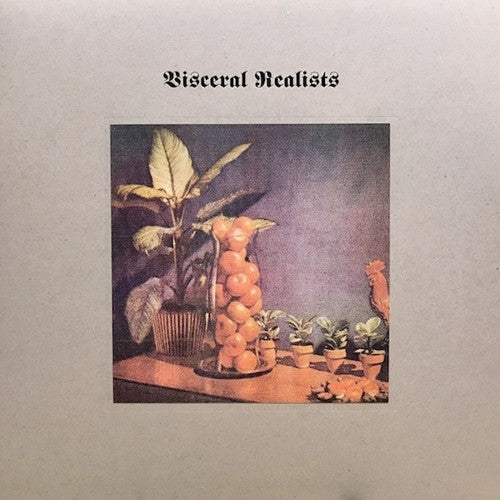 the album cover for Bruce Russell & Luke Wood - Visceral Realists