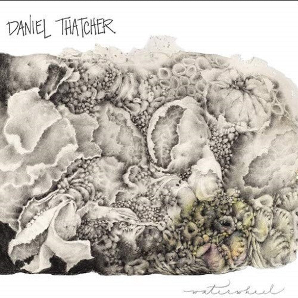 the album cover for Daniel Thatcher - Waterwheel