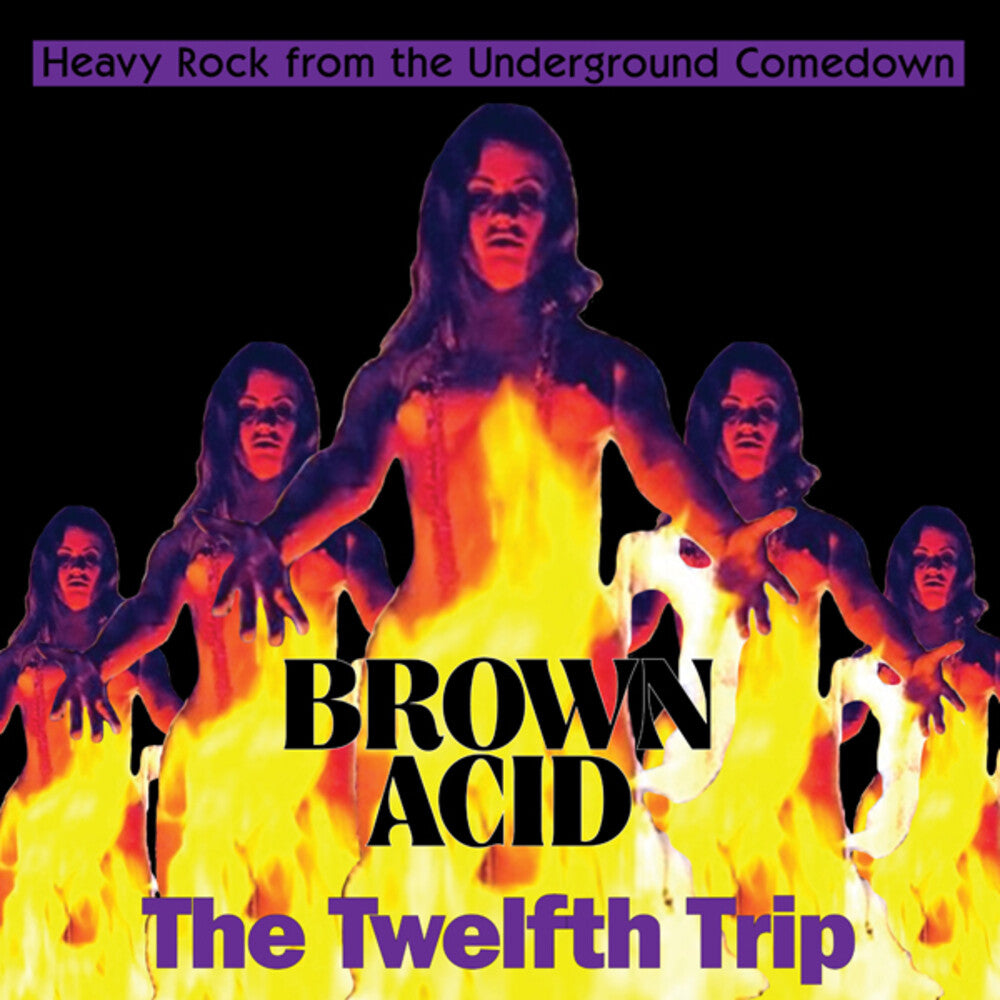 the album cover for Brown Acid - The Twelfth Trip / Various - Brown Acid - The Twelfth Trip / Various