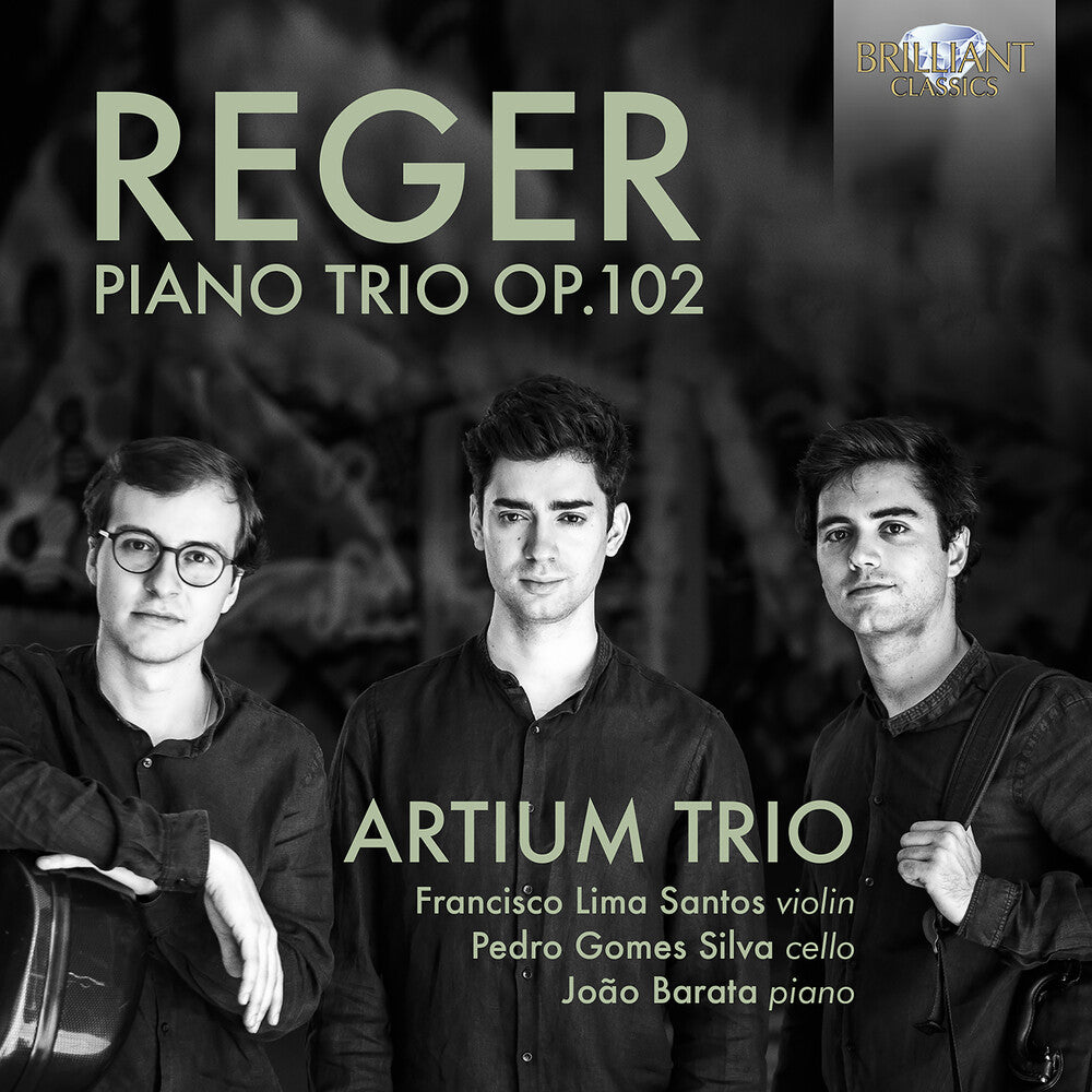 the album cover for Reger / Artium Trio - Piano Trio 102
