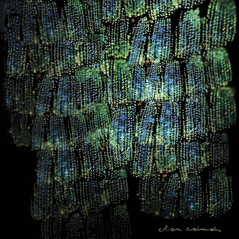 the album cover for Clan Caiman - Asoma