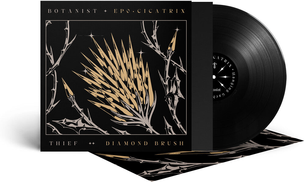 the album cover for Botanist / Thief - Cicatrix / Diamond Brush