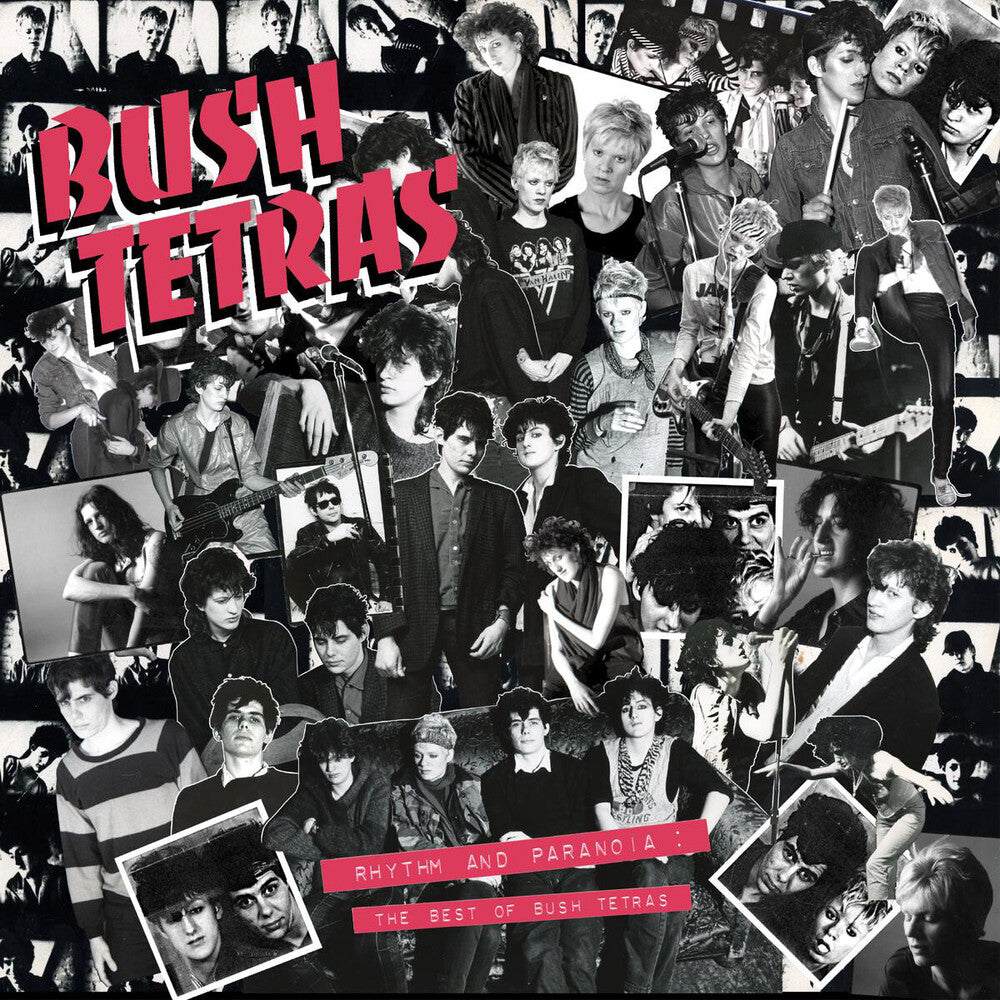 the album cover for Bush Tetras - Rhythm & Paranoia: The Best Of Bush Tetras