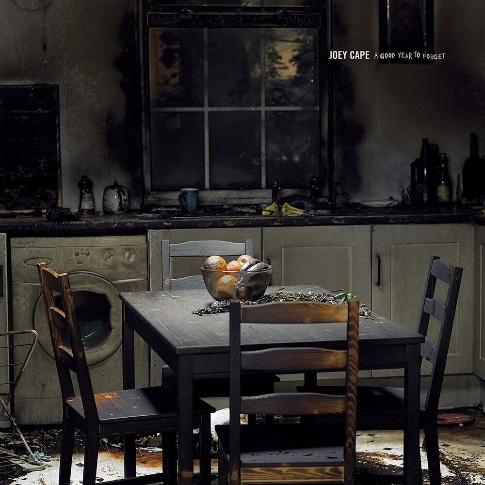 the album cover for Joey Cape - Good Year To Forget