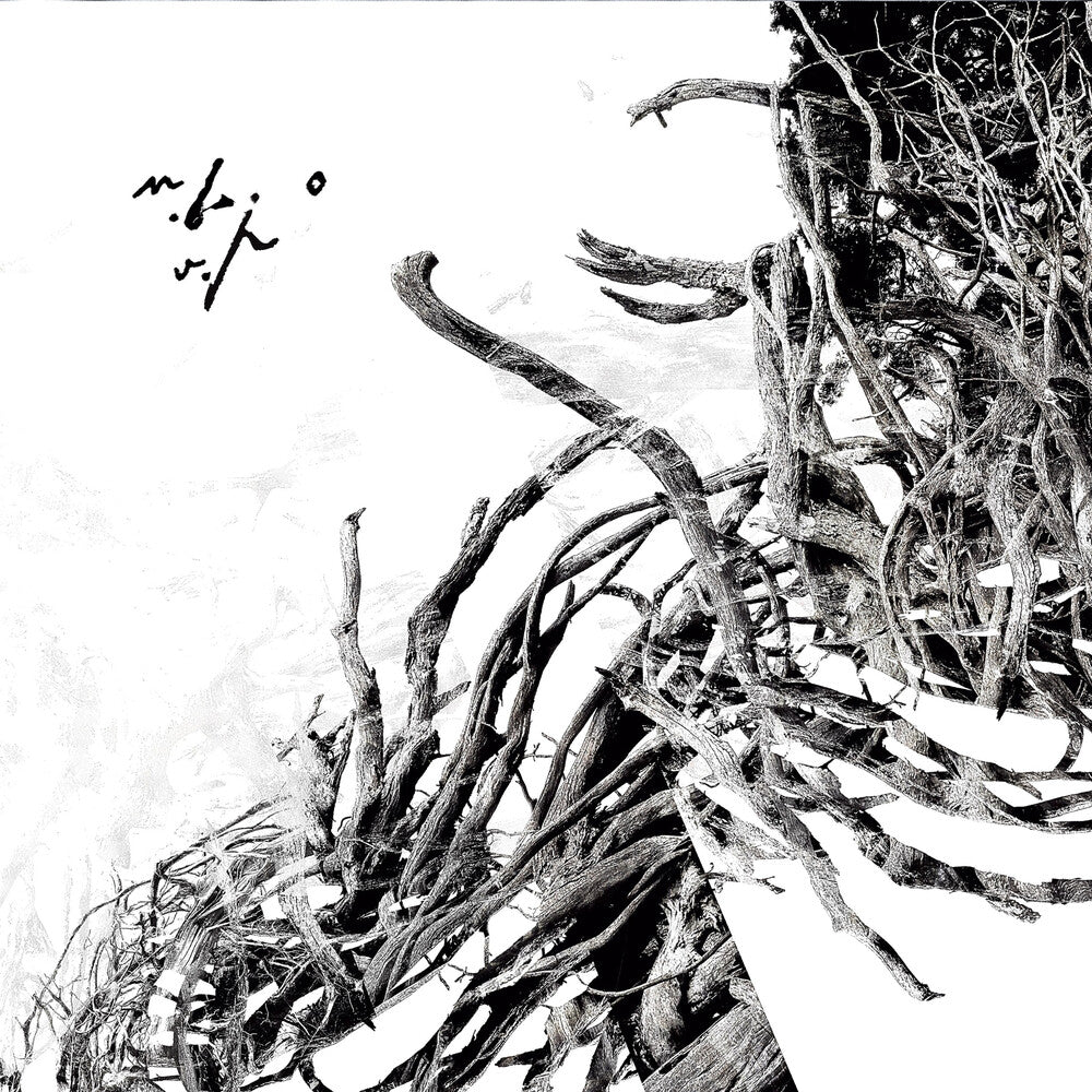 the album cover for Negura Bunget - Virstele Pamintului