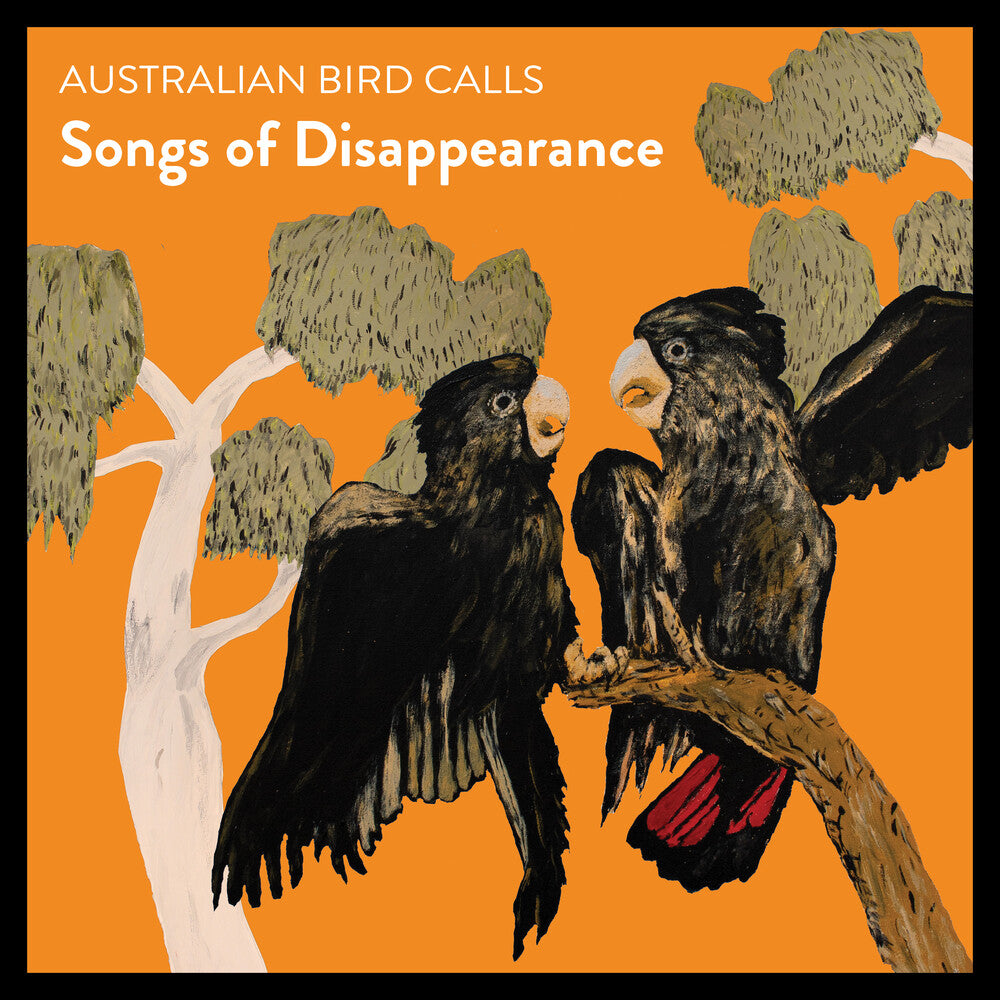 the album cover for Australian Bird Calls - Songs Of Disappearance - Endangered Edition