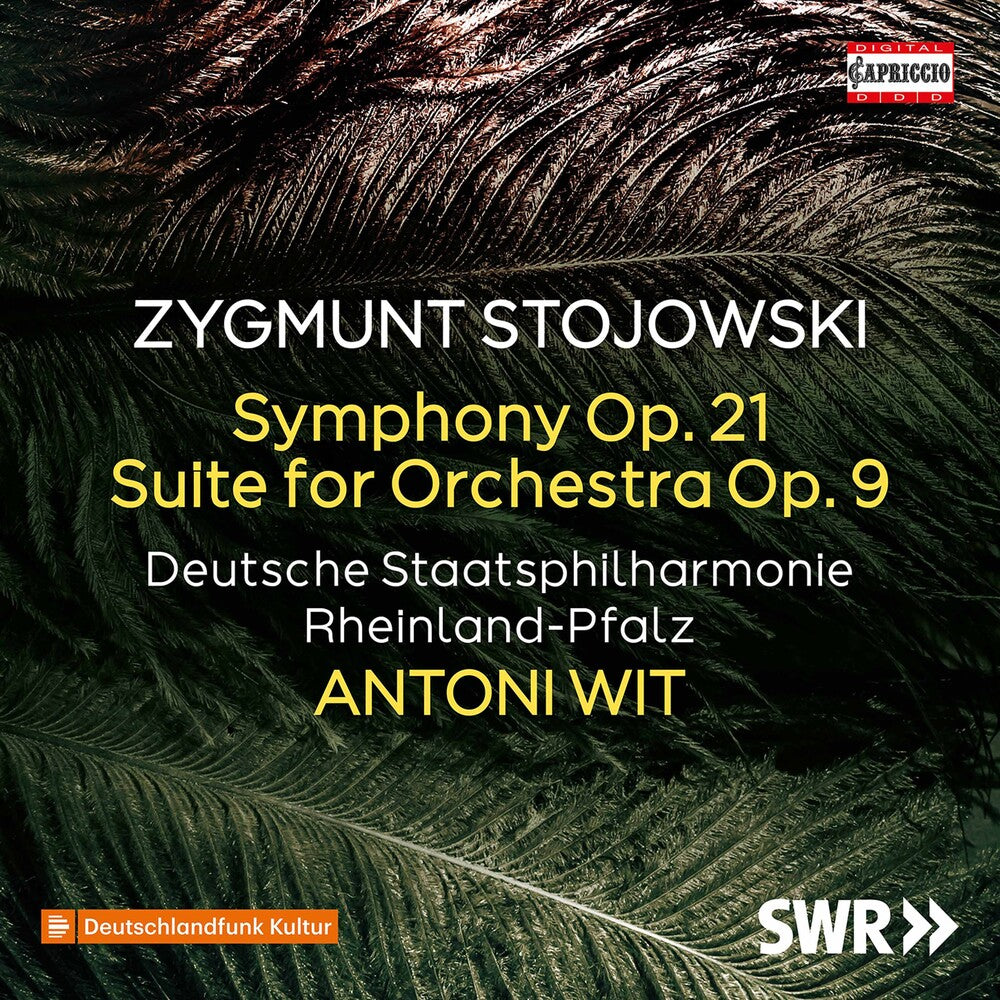 the album cover for Stojowski / Witt - Symphony 21