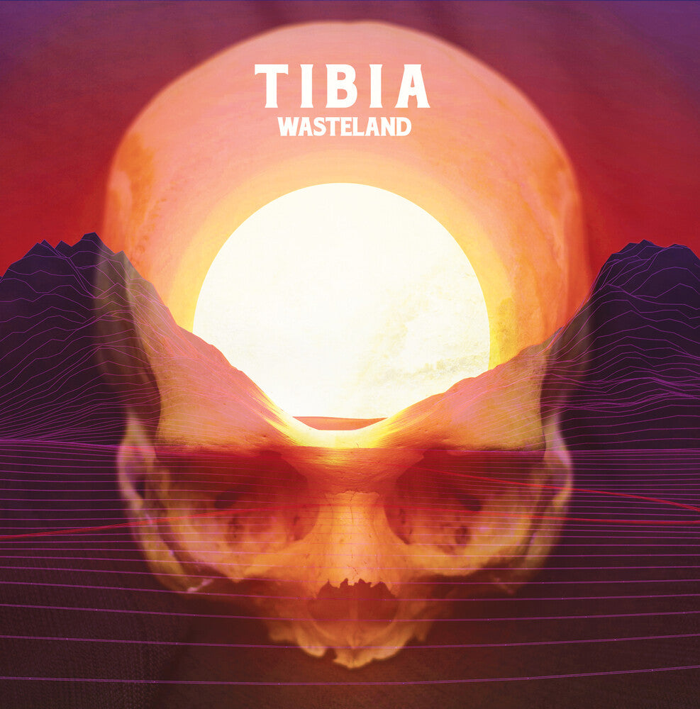 the album cover for Tibia - Wasteland