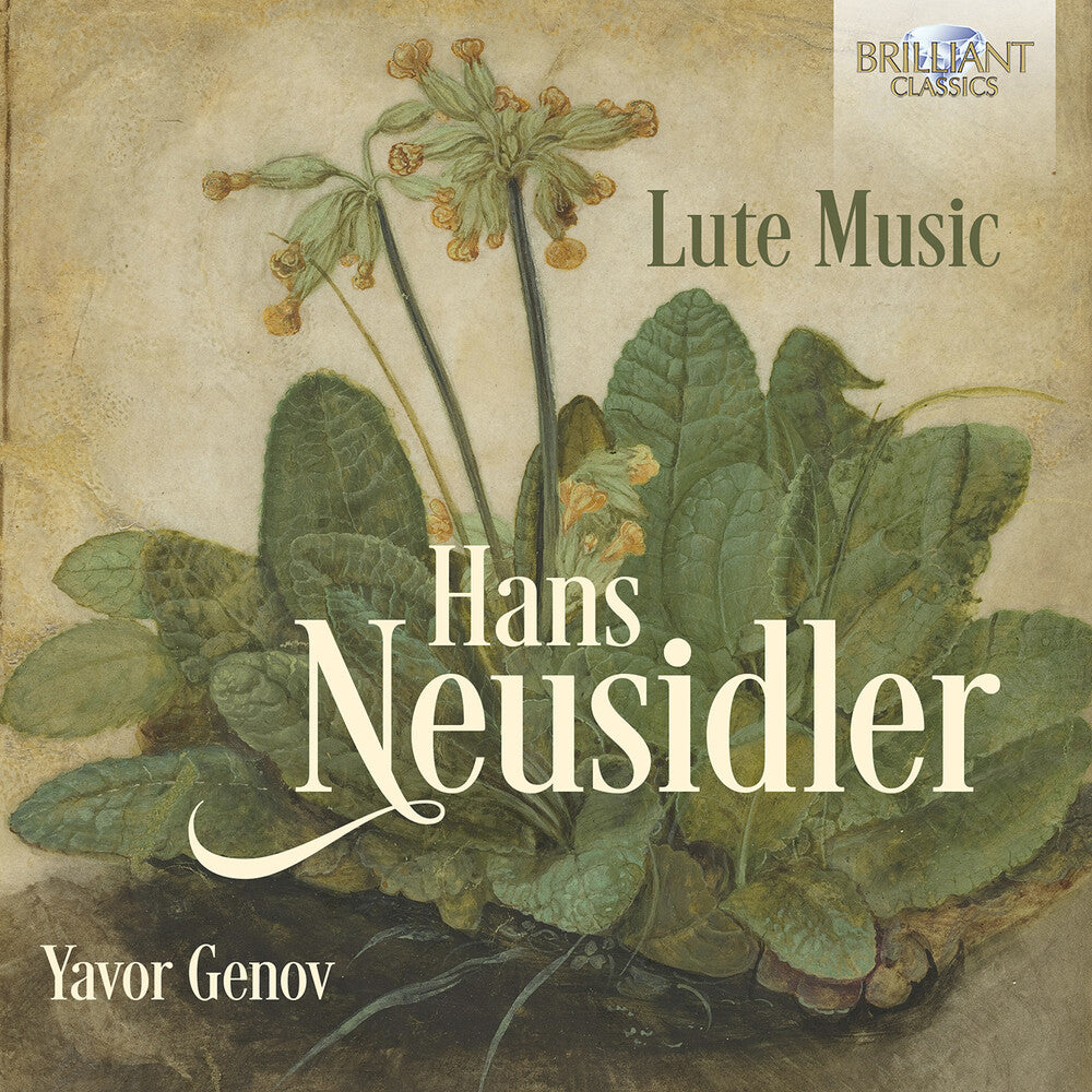 the album cover for Neusidler / Genov - Lute Music