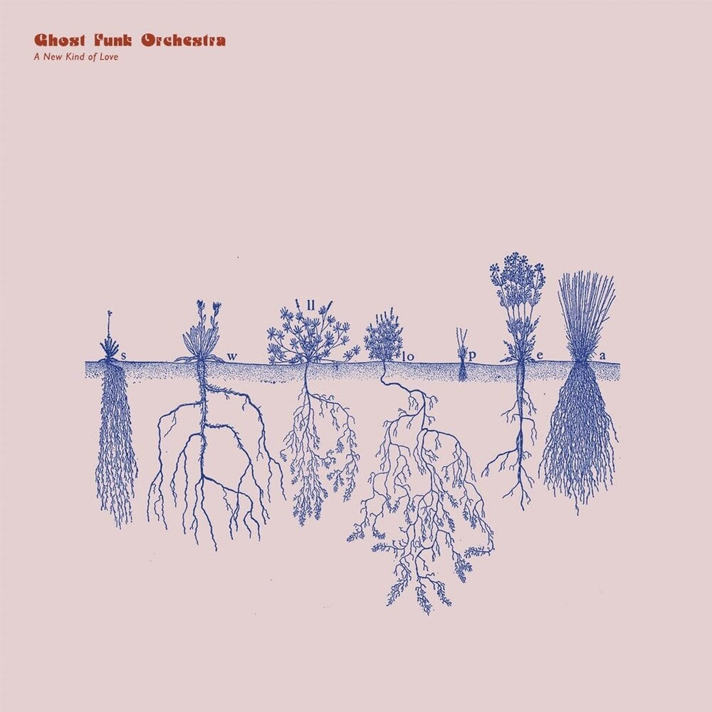 the album cover for Ghost Funk Orchestra - New Kind Of Love
