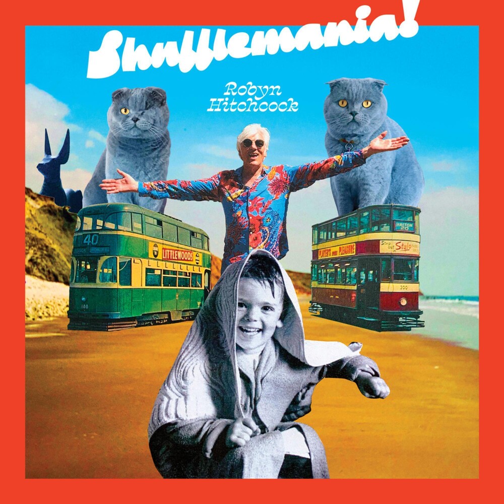 the album cover for Robyn Hitchcock - Shufflemania