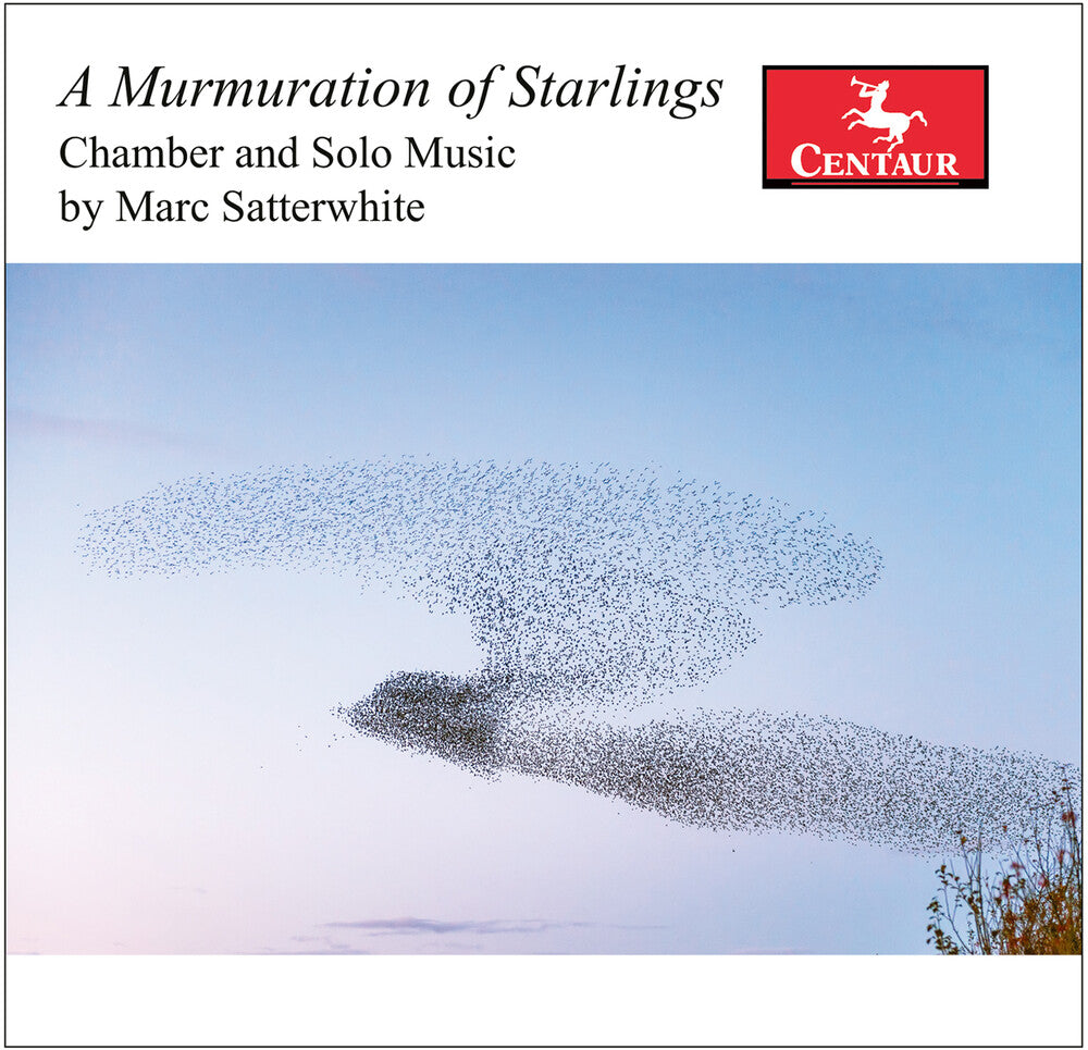 the album cover for Satterwhite / Karr / Mattingly - Murmuration Of Starlings