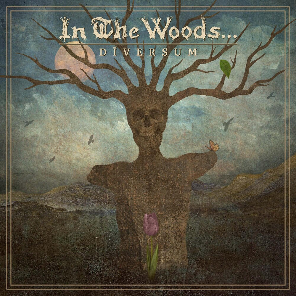 the album cover for In the Woods... - DIVERSUM