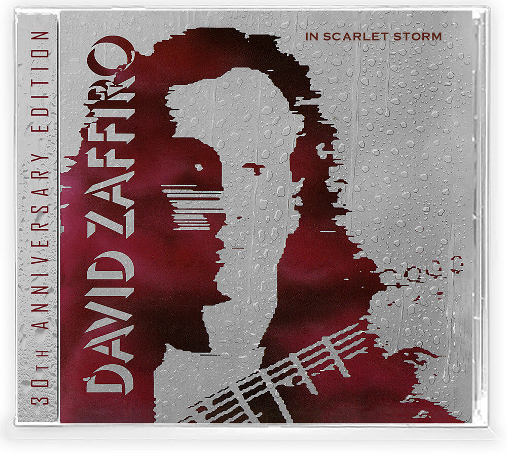 the album cover for Zaffriro, David - In Scarlet Storm