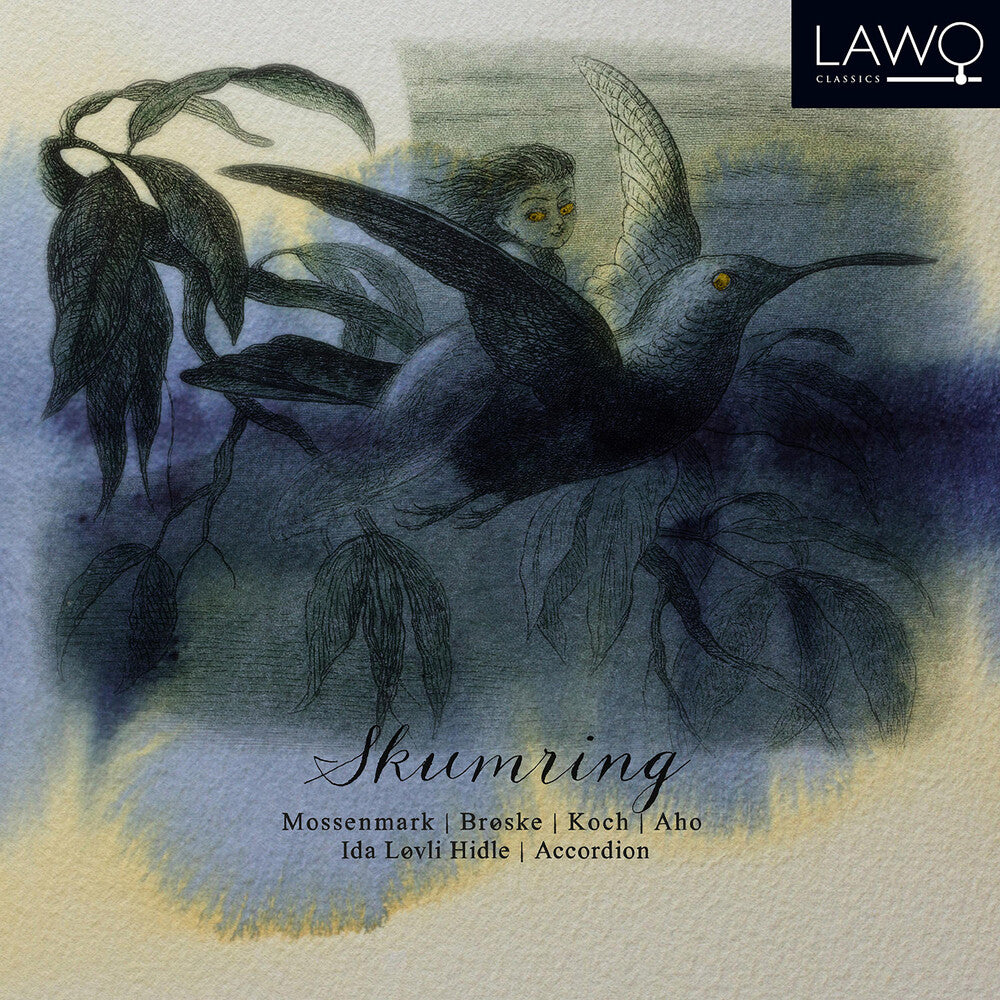 the album cover for Aho / Broske - Skumring
