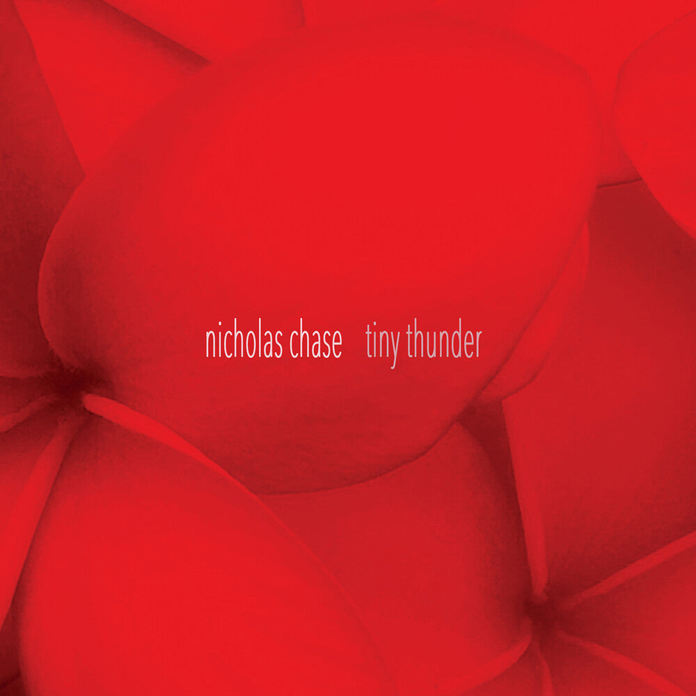 the album cover for Chase / Pezzone - Tiny Thunder