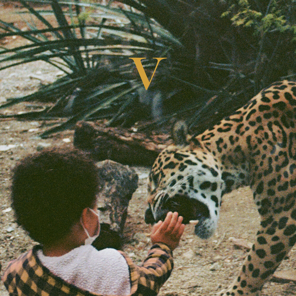 the album cover for Unknown Mortal Orchestra - V