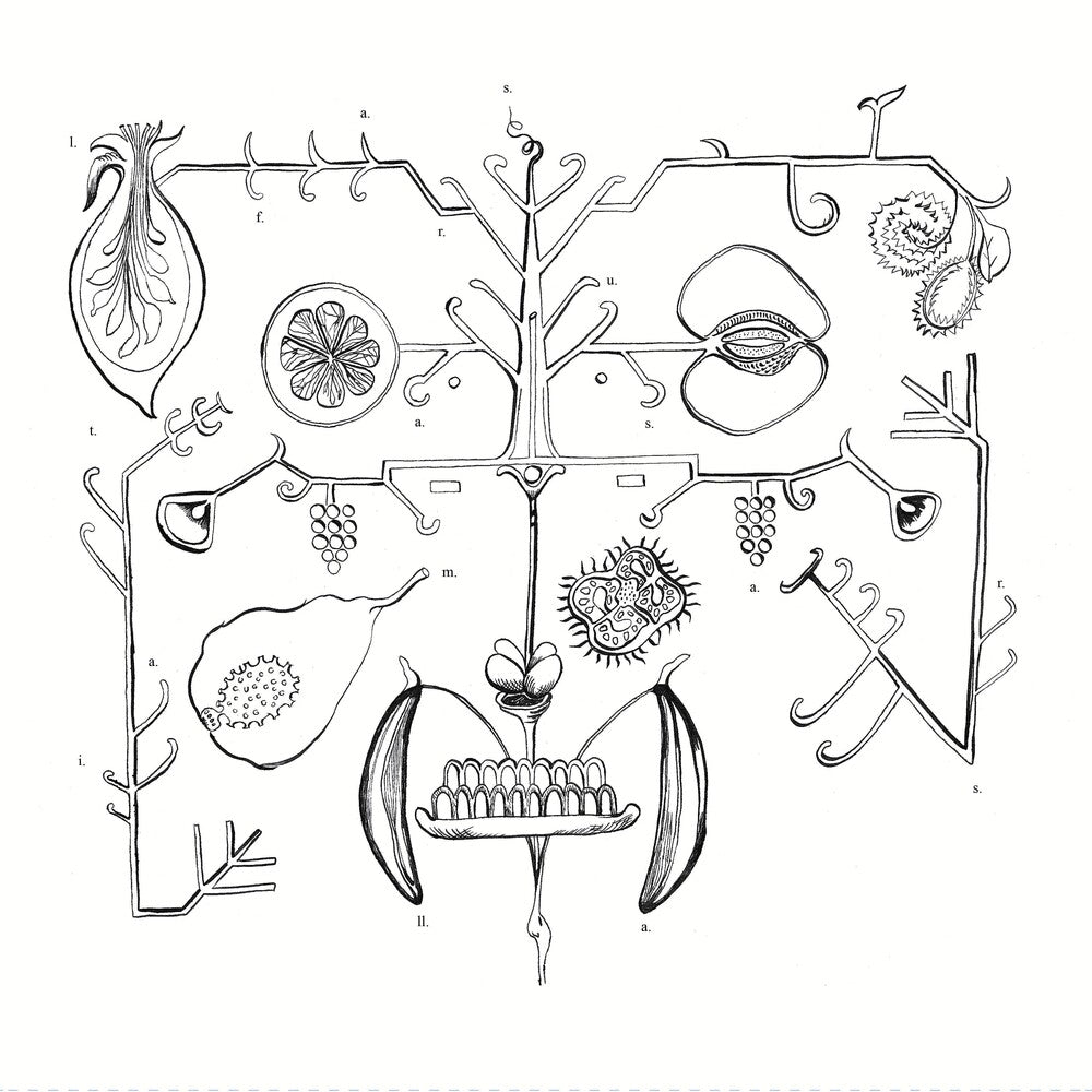 the album cover for Aa Tigre - Las Frutas Amarilla