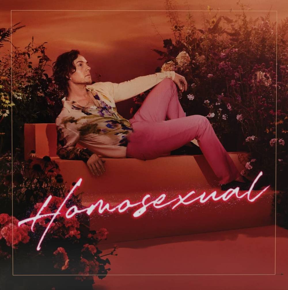 the album cover for Darren Hayes - Homosexual