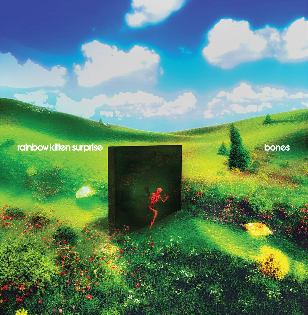 Pre-Order: Rainbow Kitten Surprise - bones