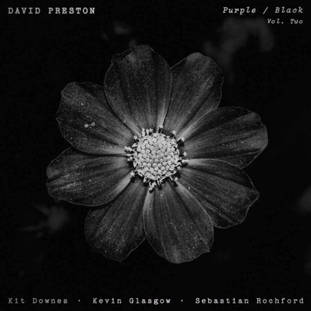 the album cover for David Preston - Purple/Black Volume 2