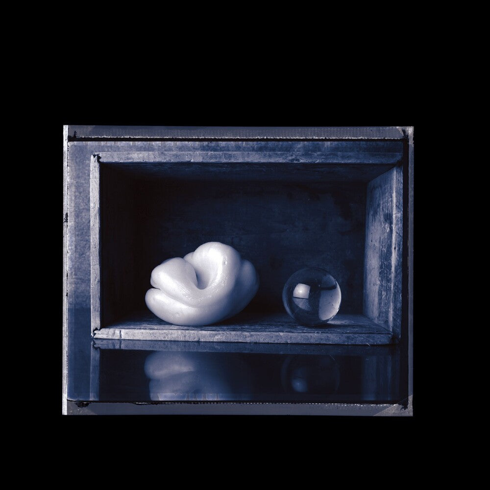 the album cover for Paul Leary - Laments
