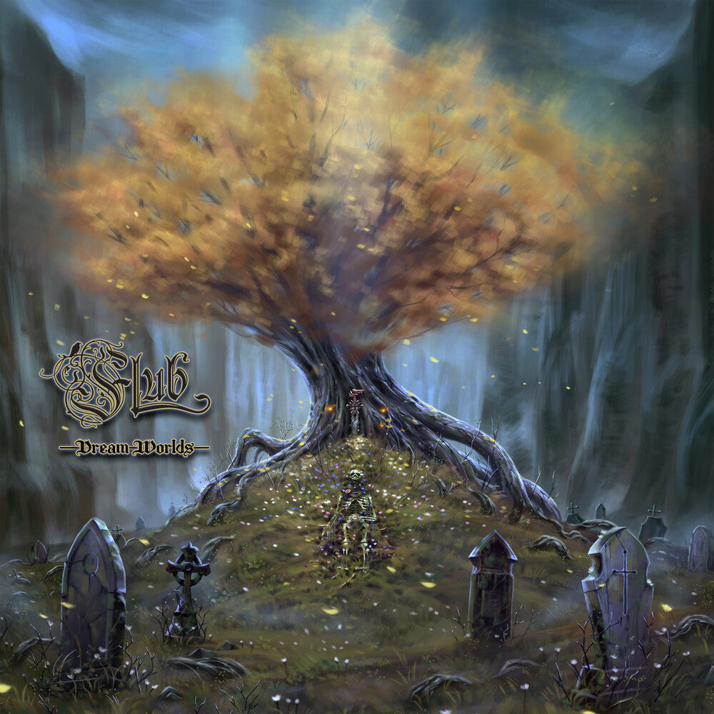 the album cover for Flub - Dream Worlds