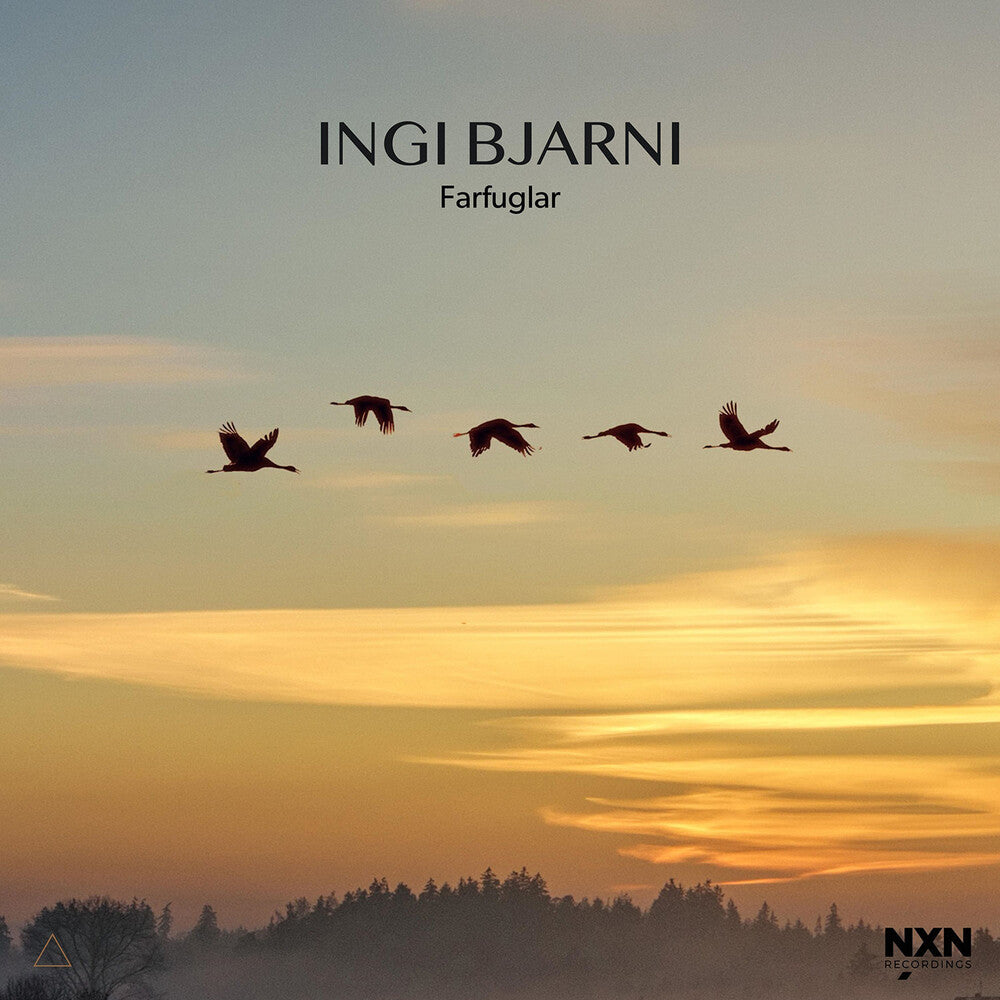 the album cover for Ingi Skulason Bjarni - Farfuglar