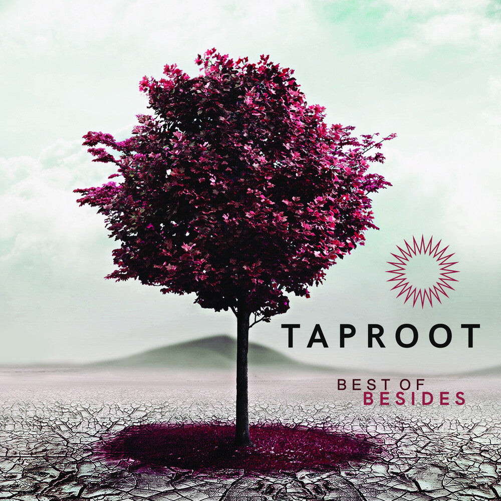 the album cover for Taproot - Best Of Besides