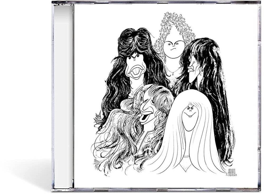 the album cover for Aerosmith - Draw The Line