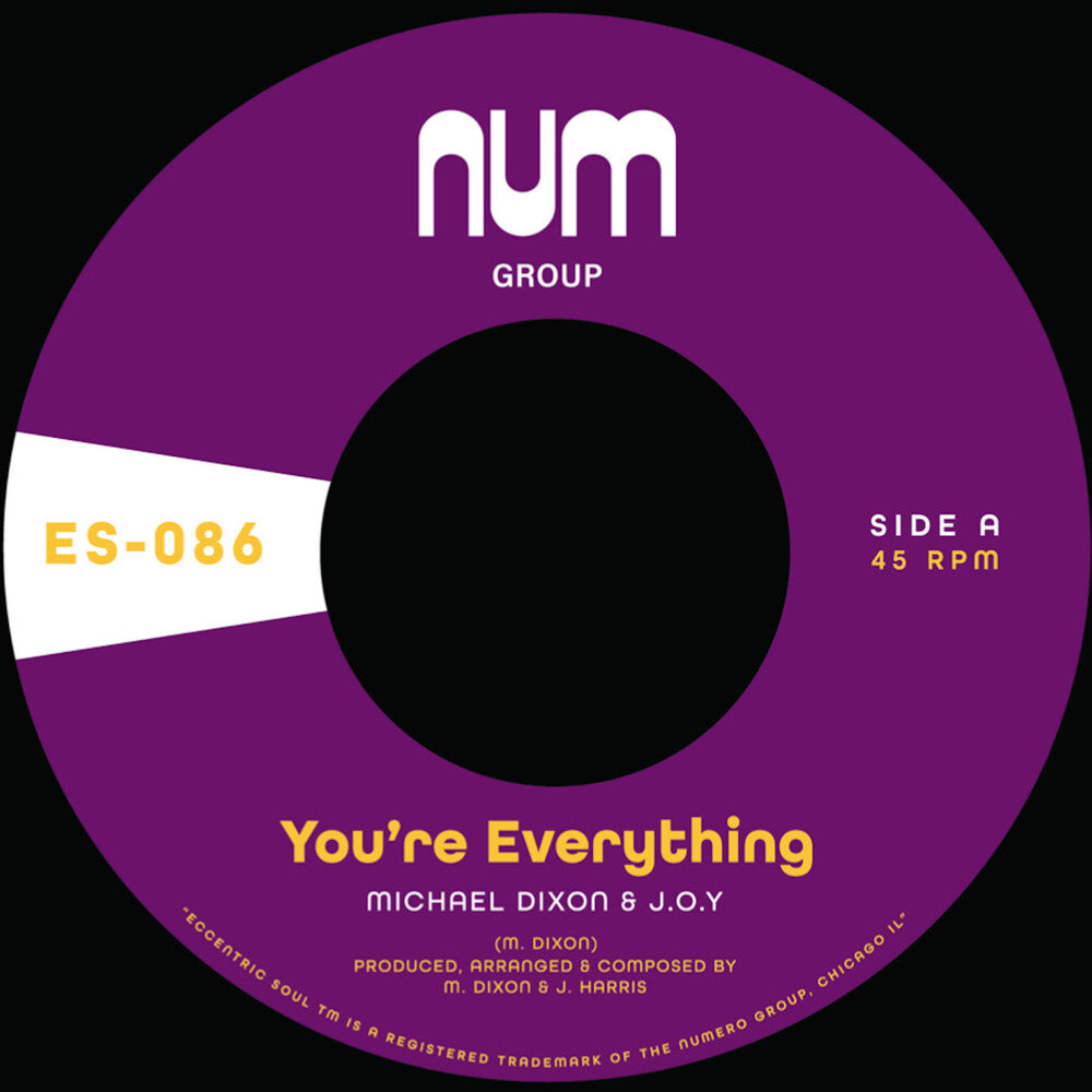 the album cover for Dixon Michael A. & J.O.Y. - You're Everything B/W You're All I Need