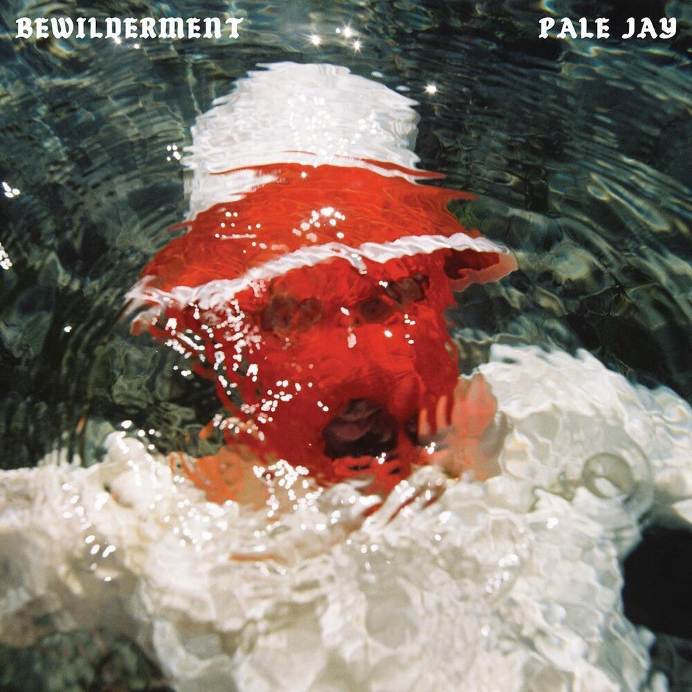 the album cover for Pale Jay - Bewilderment