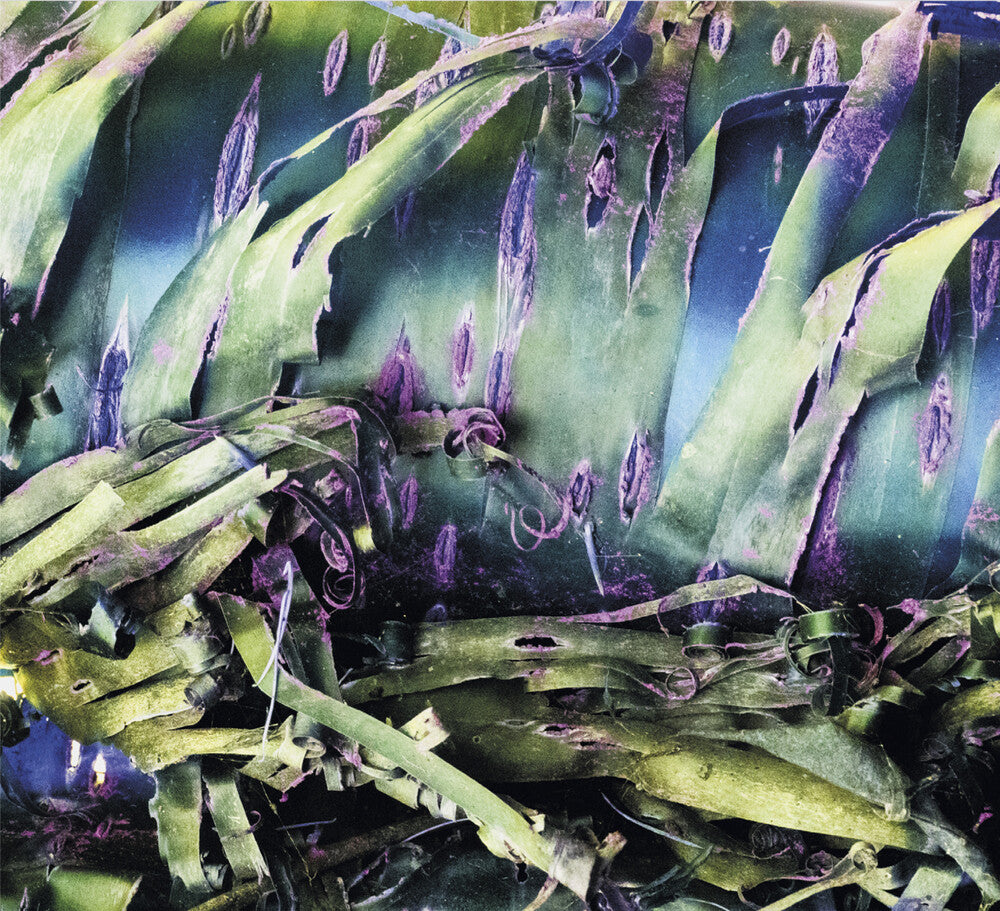 the album cover for Polypores - Multizonal Mindscramble