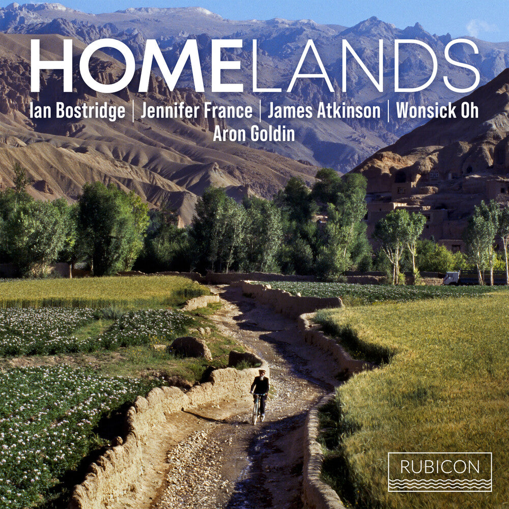 the album cover for IAN BOSTRIDGE - Homelands