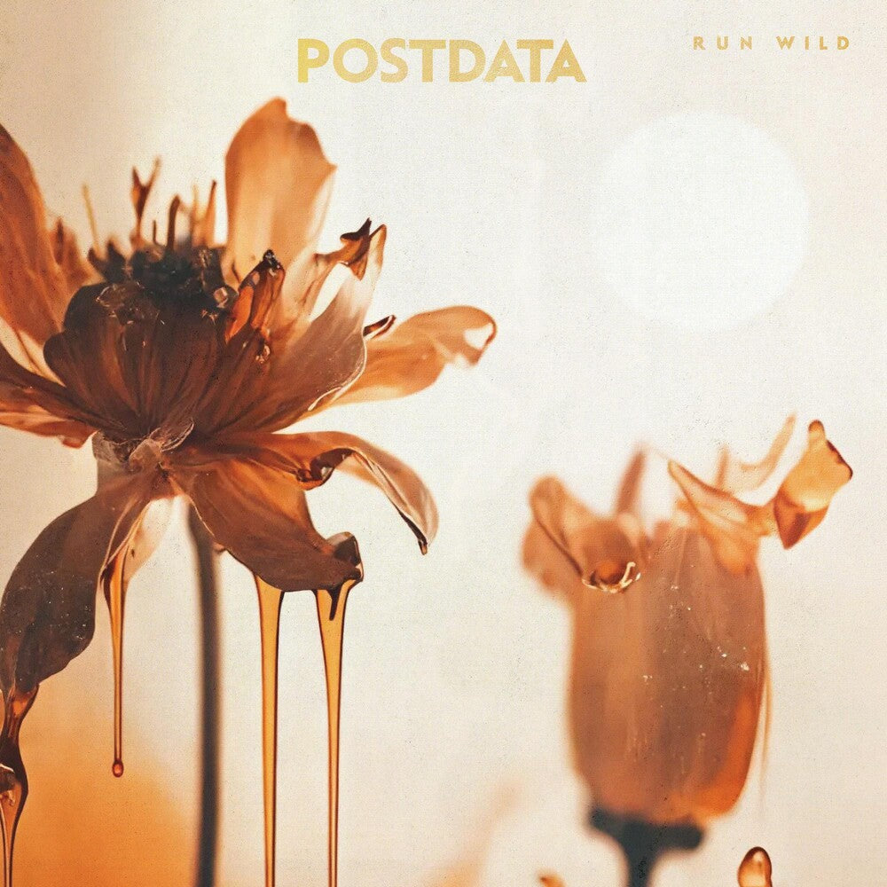 the album cover for Postdata - Run Wild