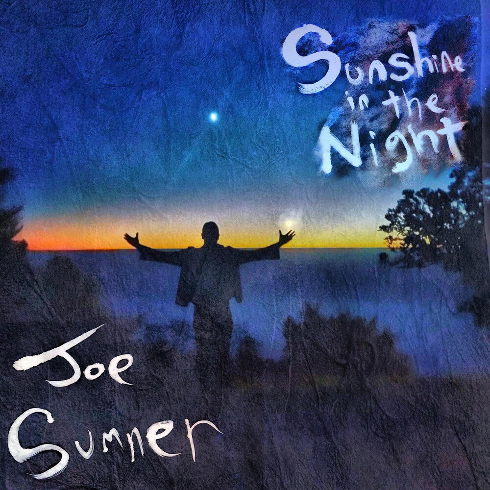 the album cover for Joe Sumner - Sunshine In The Night