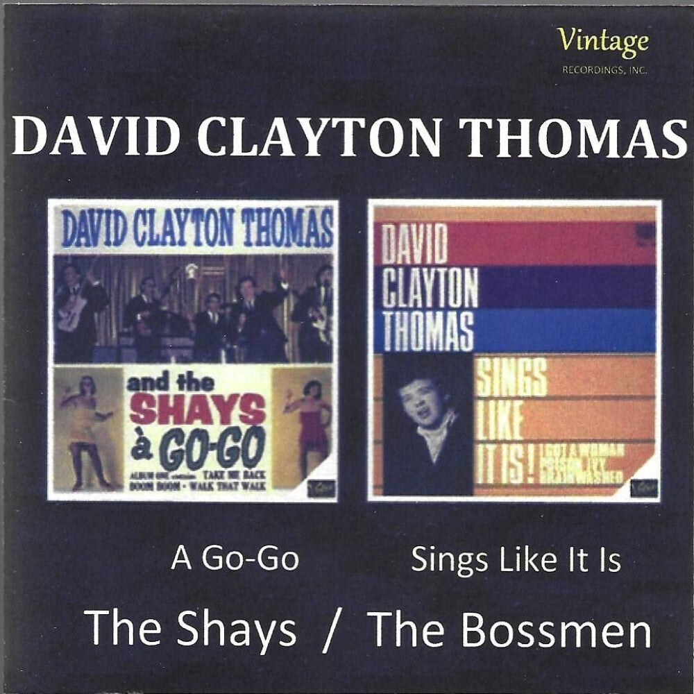 the album cover for David Thomas Clayton - Shays & Bossmen