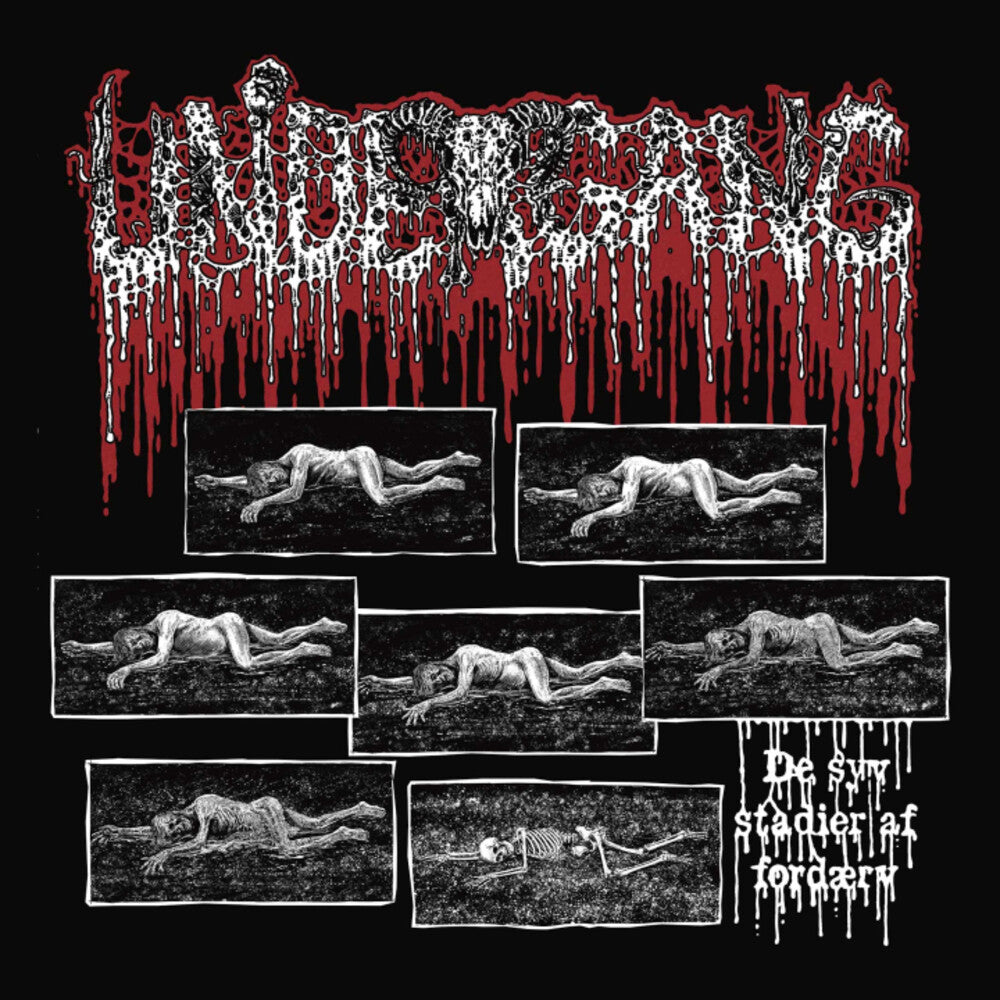 the album cover for Undergang - De Syv Stadier Af Ford?Ae?Rv