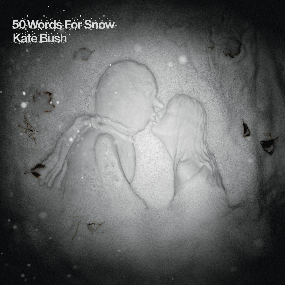 the album cover for Kate Bush - 50 Words For Snow: Remastered