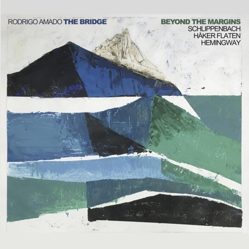 the album cover for Bridge - Beyond The Margins