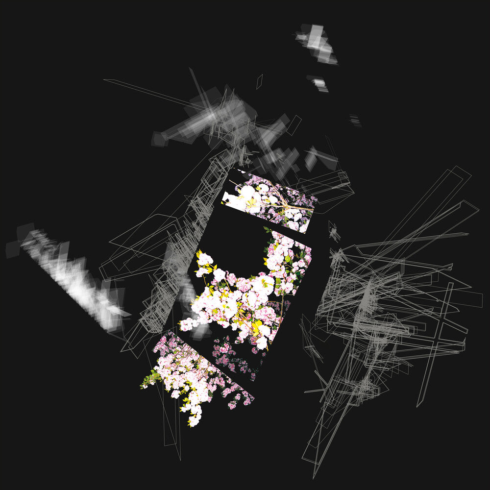 the album cover for Khanate - Capture & Release