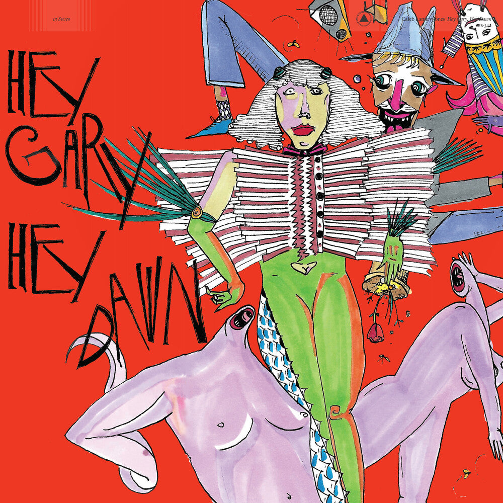 the album cover for Caleb Jones Landry - Hey Gary, Hey Dawn