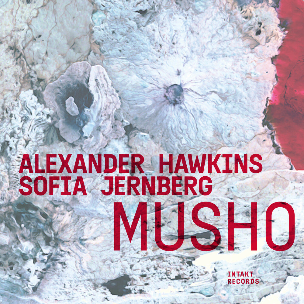 the album cover for Alexander Hawkins - Musho