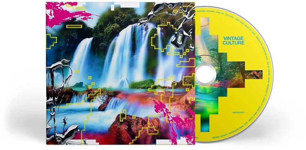 the album cover for Vintage Culture - Promised Land
