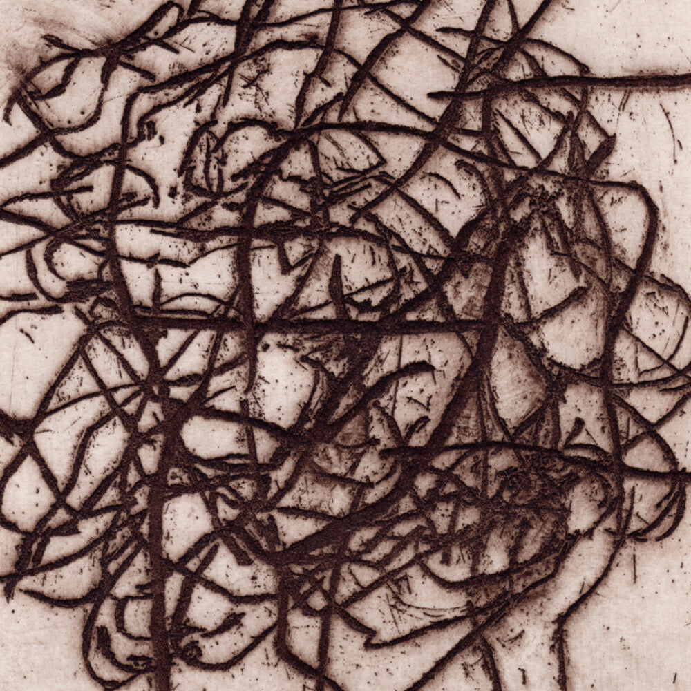 the album cover for K Leimer . / Barreca,Marc - Arrhythmian
