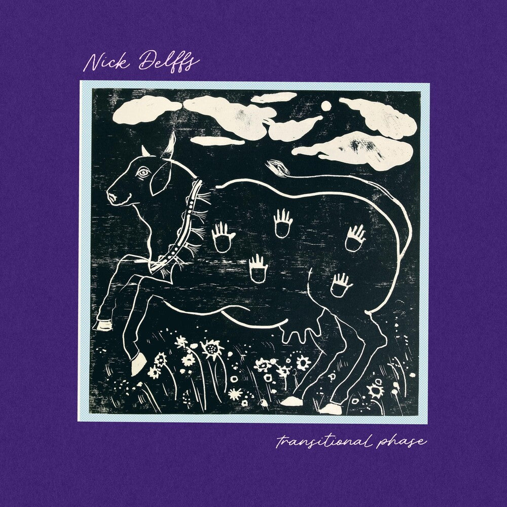 the album cover for Nick Delffs - Transitional Phase
