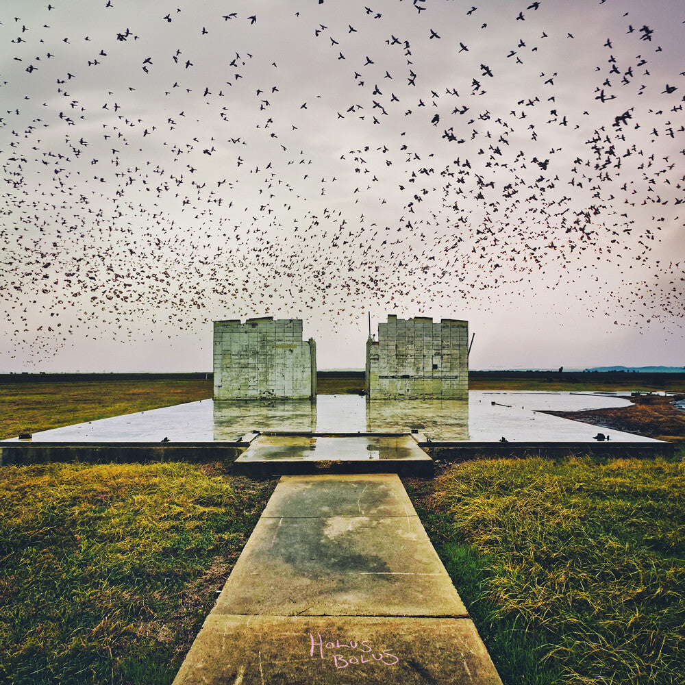 the album cover for Lord Buffalo - Holus Bolus (Gate)