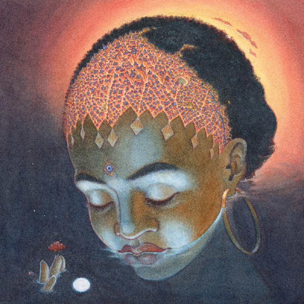 the album cover for Orion Sun - Orion (Gate)